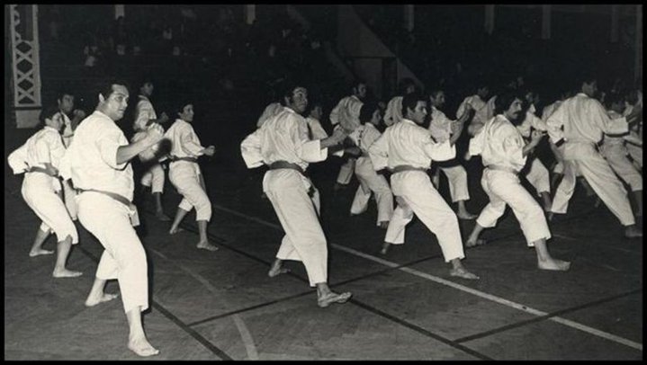 503054924 23908498278744048 5900884539080708689 n (1)