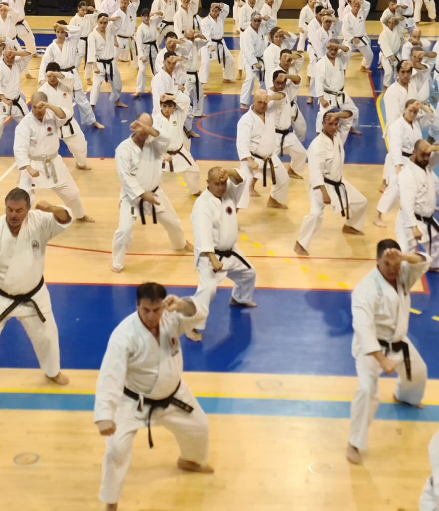 Img 20250302c wa0029