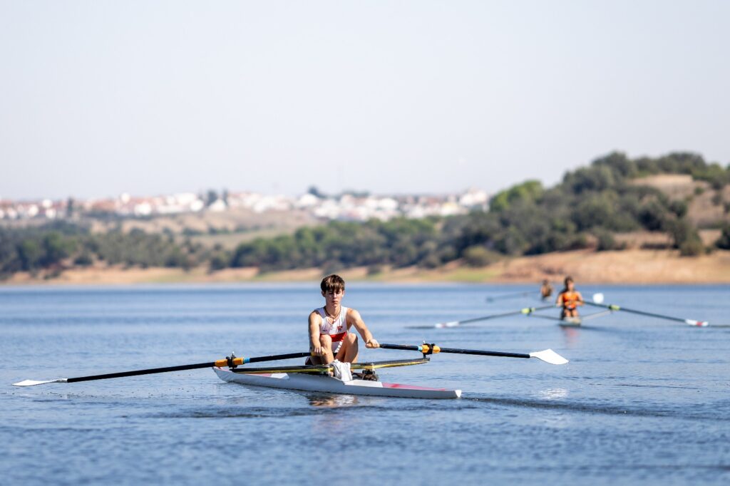 Imagem whatsapp 2025 10 21 às 09.14.55 00ee06fd