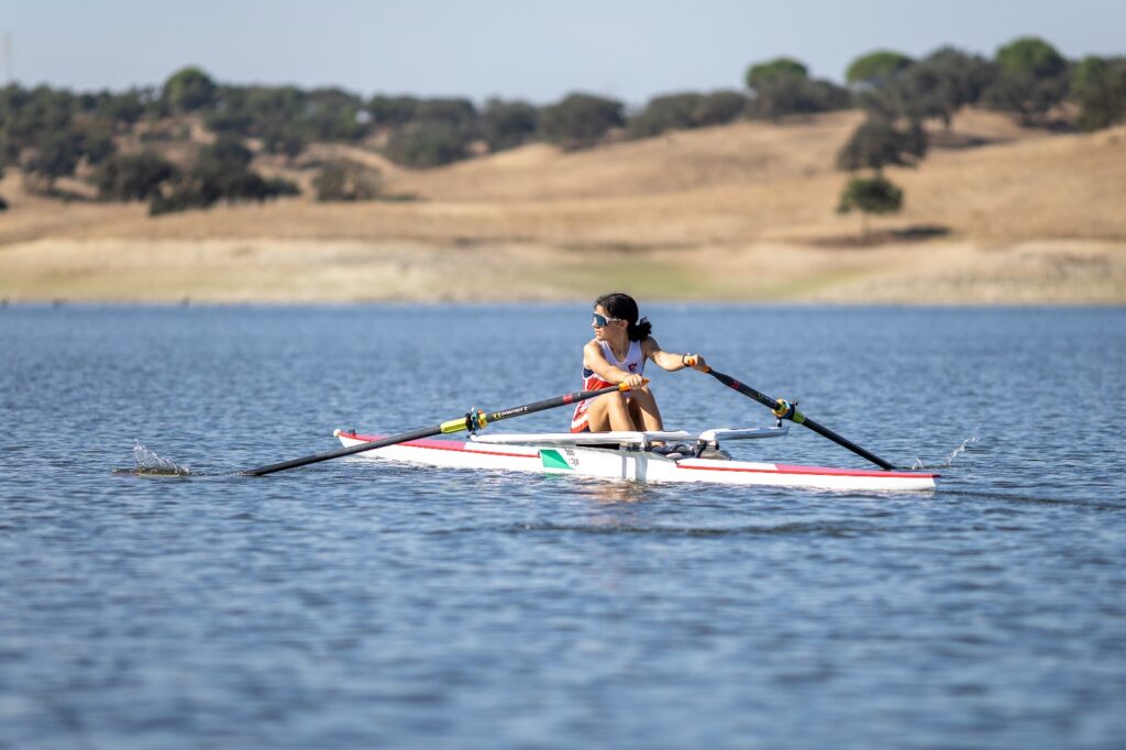 Imagem whatsapp 2025 10 21 às 09.14.56 5e06e747