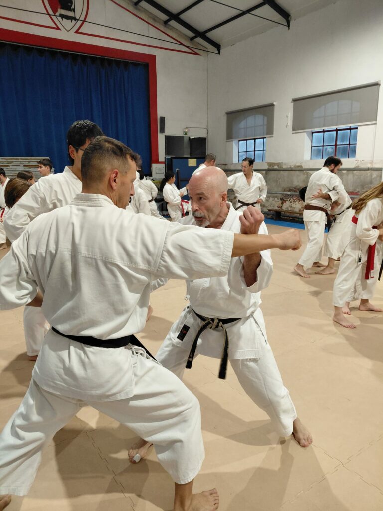 Imagem whatsapp 2025 11 08 às 19.35.02 7fba2609