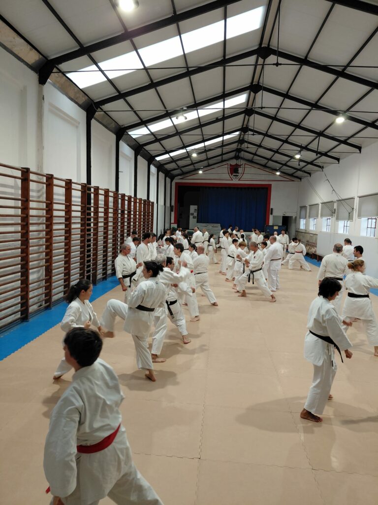 Imagem whatsapp 2025 11 08 às 19.35.02 e6463a30