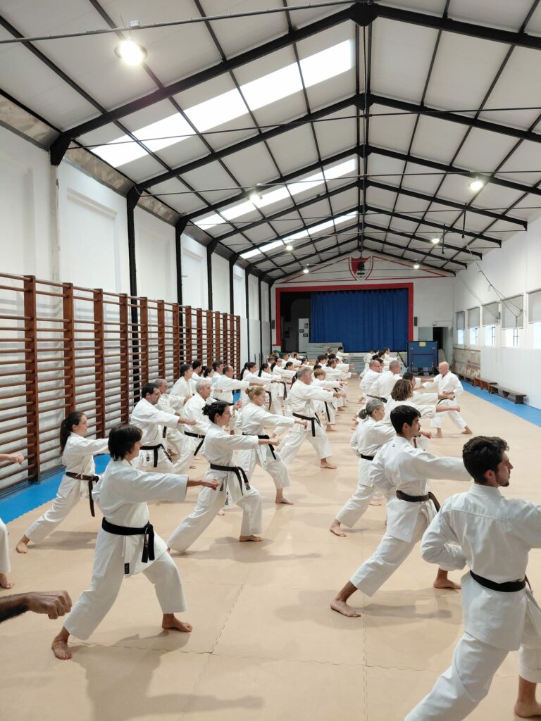 Imagem whatsapp 2025 11 08 às 19.35.03 16616dda