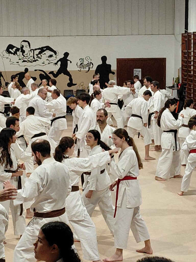 Imagem whatsapp 2025 11 08 às 19.35.03 58f6e687