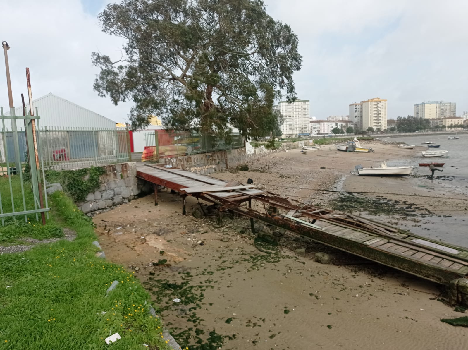 Whatsapp image 2026 02 05 at 15.14.l16