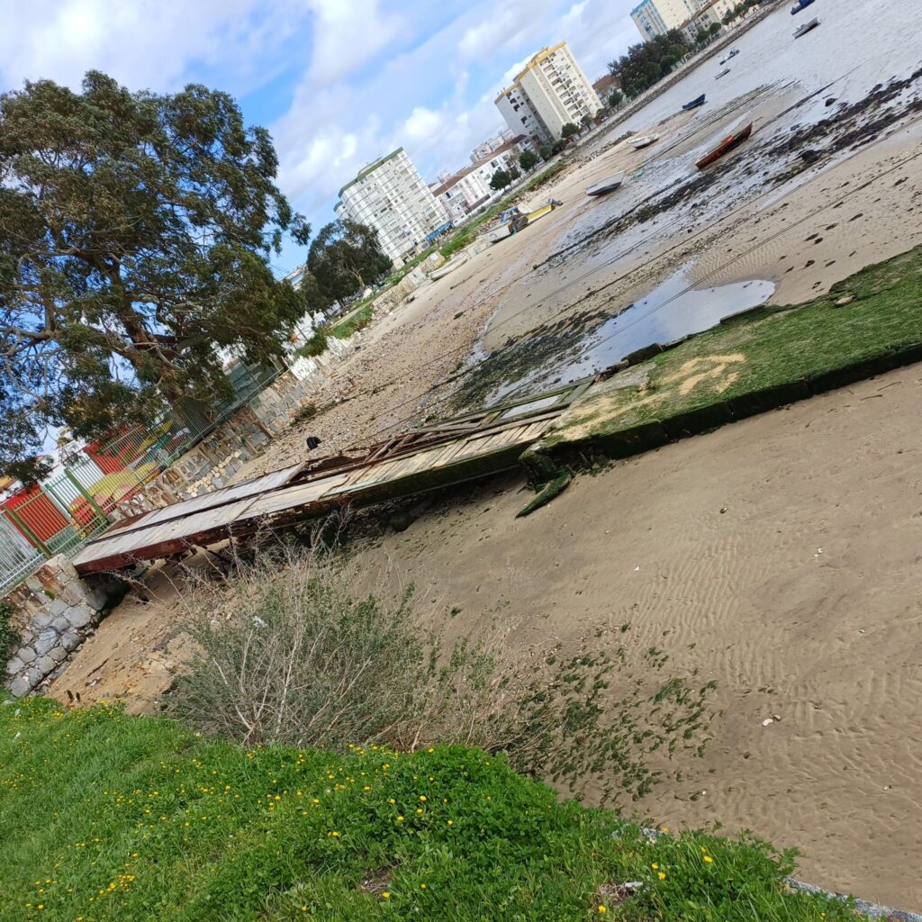 Whatsapp image 2026 02 08 at 12.07.11